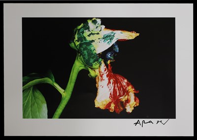 Lot 396 - Nobuyoshi Araki (Japanese, b.1940)