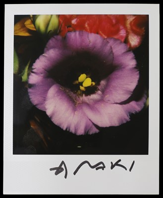 Lot 385 - Nobuyoshi Araki (Japanese, b.1940)