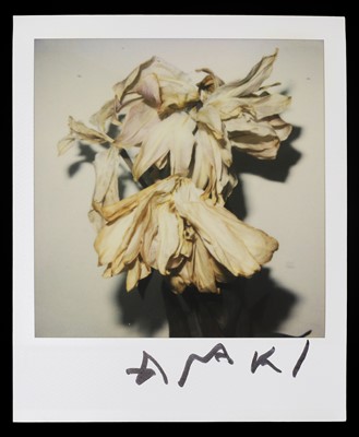 Lot 386 - Nobuyoshi Araki (Japanese, b.1940)