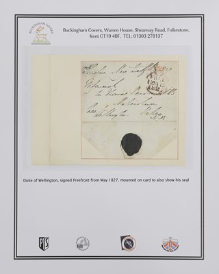 Lot 378 - Duke of Wellington