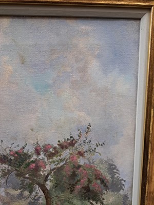 Lot 264 - Mary Viola Paterson (1899-1981)