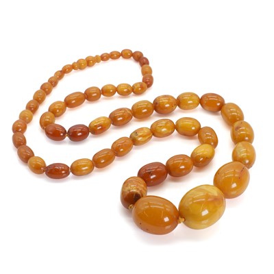 Lot 53 - A single row graduated butterscotch amber bead necklace