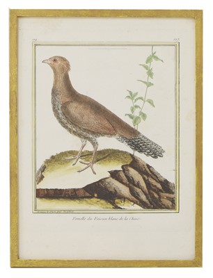 Lot 614 - After François-Nicolas Martinet