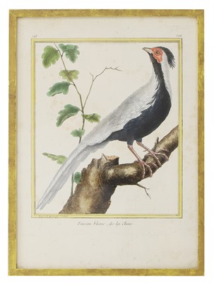 Lot 614 - After François-Nicolas Martinet
