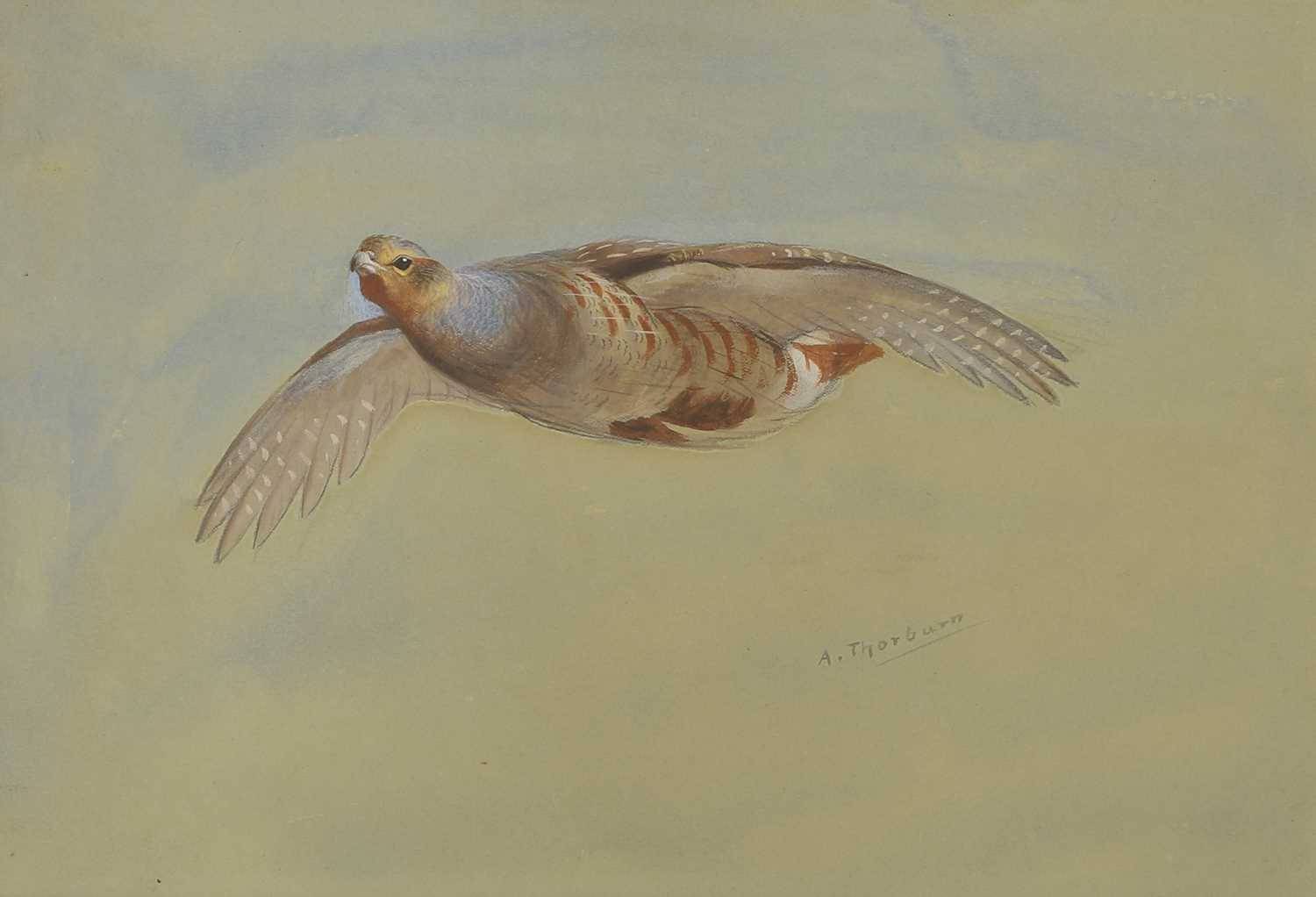 Lot 292 - Archibald Thorburn (1860-1935)