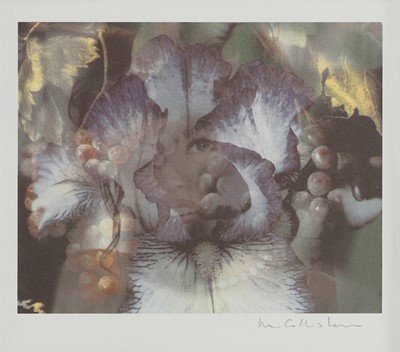 Lot 334 - Mat Collishaw (b.1966)