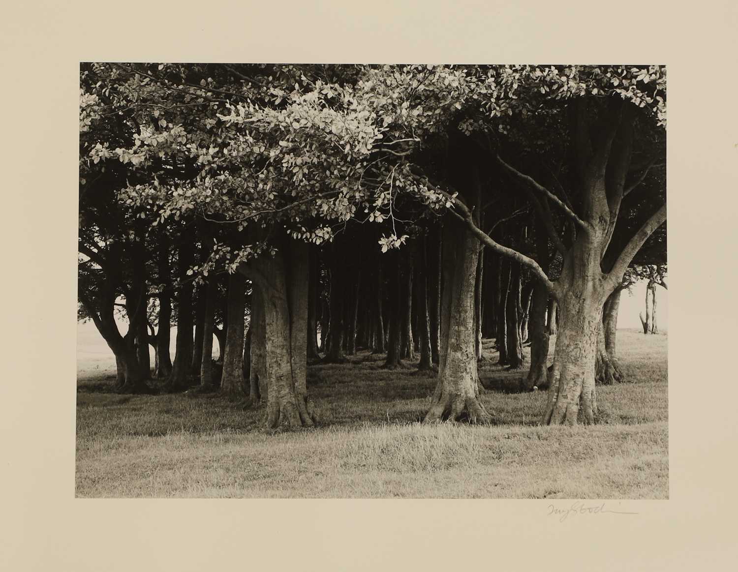 Lot 338 - Fay Godwin (1931-2005)