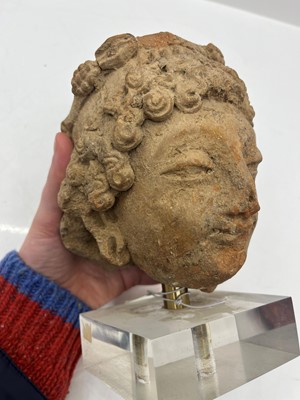 Lot 54 - A Majapahit terracotta head