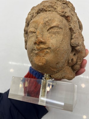 Lot 54 - A Majapahit terracotta head