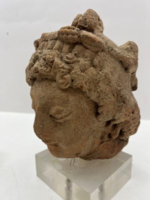 Lot 54 - A Majapahit terracotta head