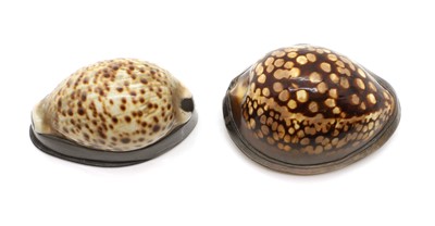 Lot 130 - Two cowrie shell snuff boxes