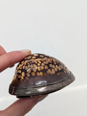 Lot 130 - Two cowrie shell snuff boxes