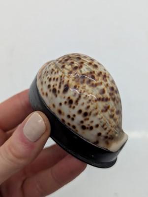 Lot 130 - Two cowrie shell snuff boxes