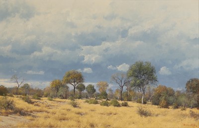 Lot 317 - Francois Koch (South African, b.1944)