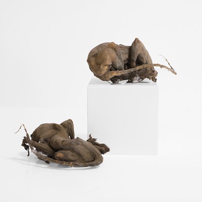 Lot 11 - A pair of superstitious chimney kittens