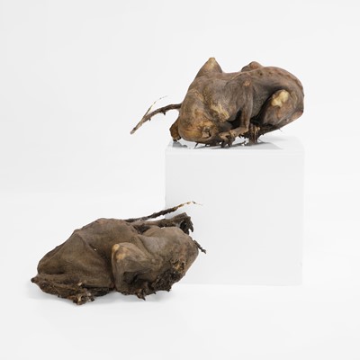 Lot 11 - A pair of superstitious chimney kittens