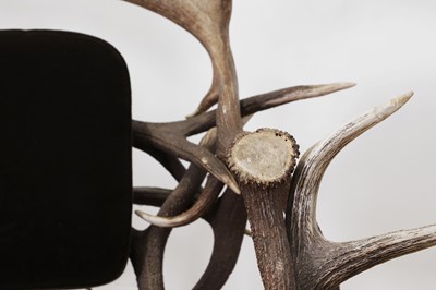 Lot 574 - An antler suite