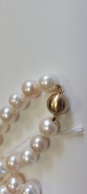 Lot 205 - A multi coloured freshwater pearl necklace
