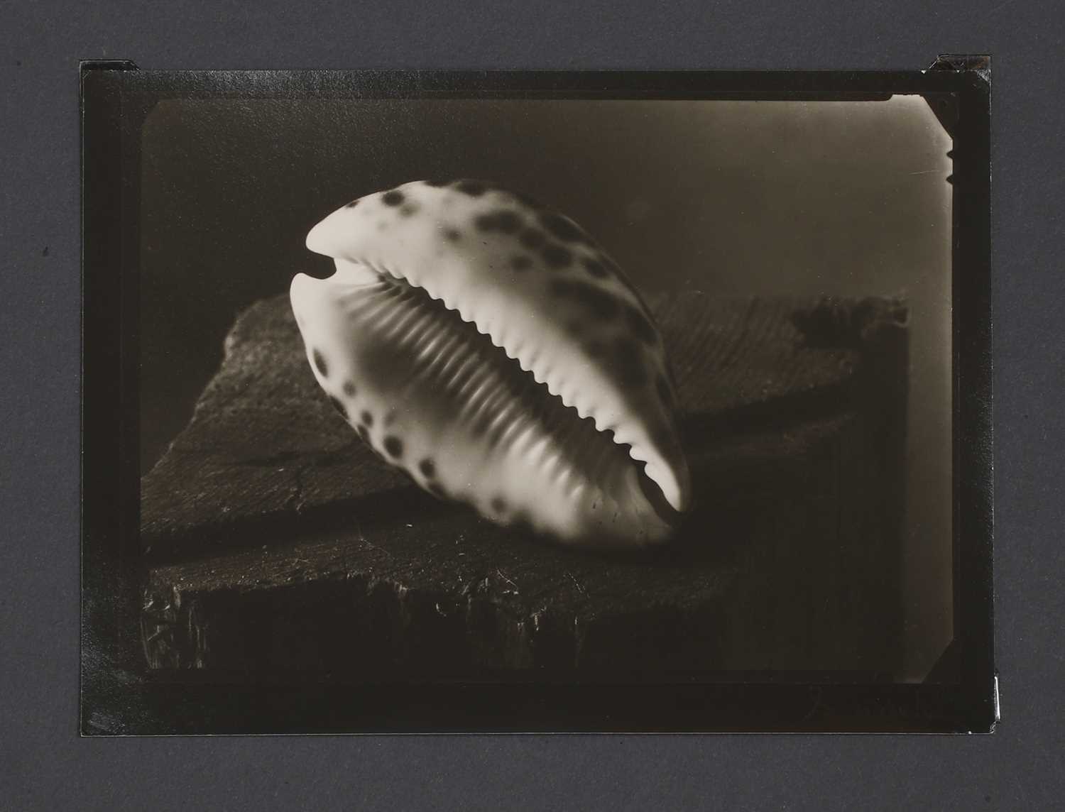 Lot 95 - Josef Sudek (Czech, 1896-1976)