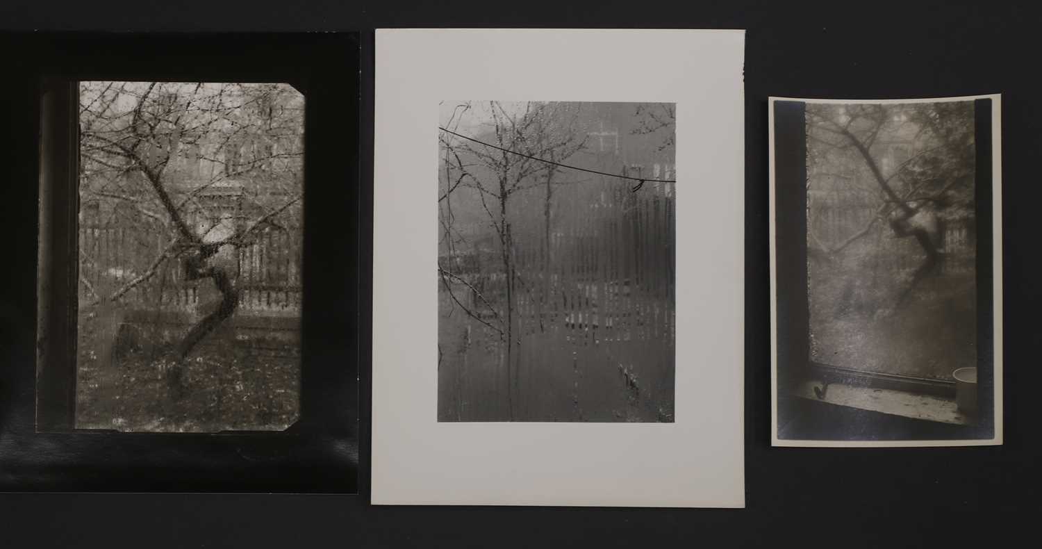 Lot 96 - Josef Sudek (Czech, 1896-1976)