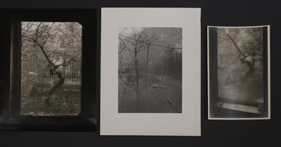Lot 96 - Josef Sudek (Czech, 1896-1976)