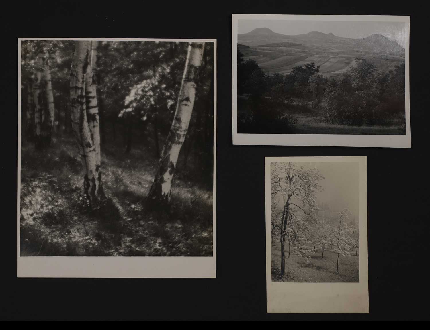 Lot 89 - Josef Sudek (Czech, 1896-1976)