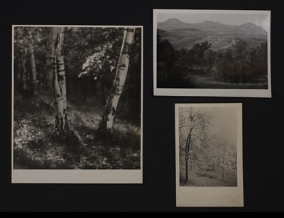 Lot 89 - Josef Sudek (Czech, 1896-1976)