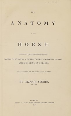 Lot 174 - A collection of equine books
