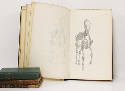 Lot 174 - A collection of equine books