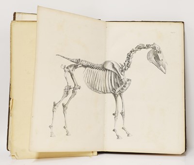 Lot 174 - A collection of equine books