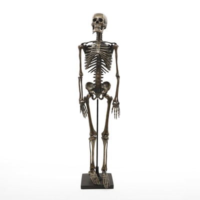 Lot 279 - A bronzed skeleton on a stand