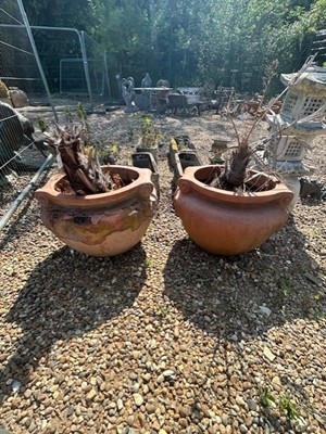 Lot 597 - A pair of Compton Pottery type planters