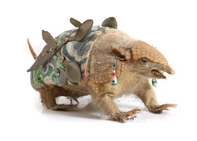 Lot 363 - A taxidermy armadillo