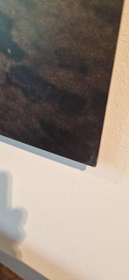 Lot 80 - Richard Billingham (b.1970)
