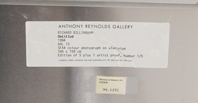 Lot 80 - Richard Billingham (b.1970)