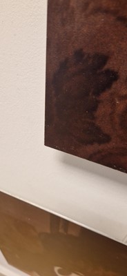 Lot 77 - Richard Billingham (b.1970)
