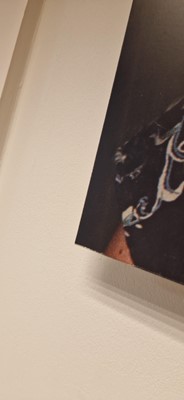 Lot 77 - Richard Billingham (b.1970)