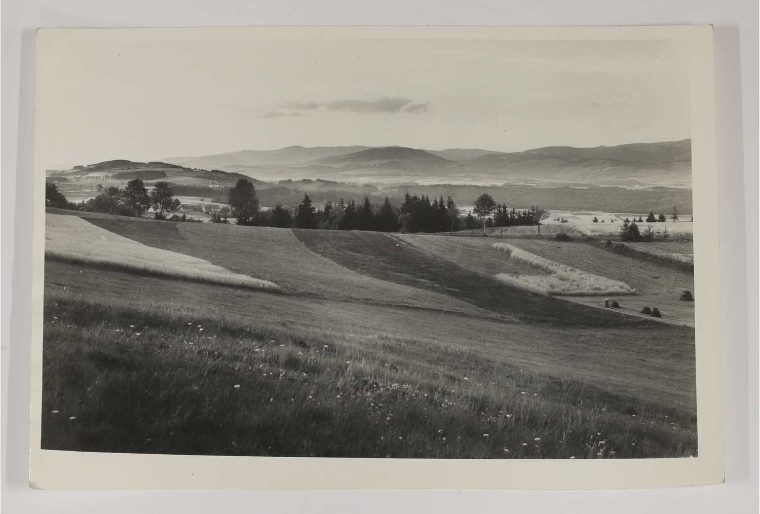 Lot 64 - A collection of Czech photography
