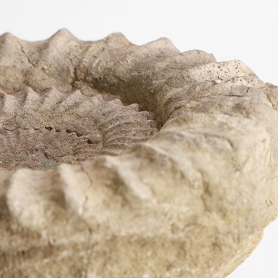 Lot 134 - A limestone ammonite fossil