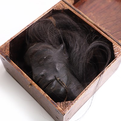 Lot 38 - A shrunken head