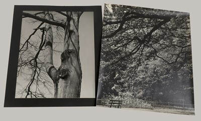 Lot 57 - Frederick Leslie Kenett (1924-2012)