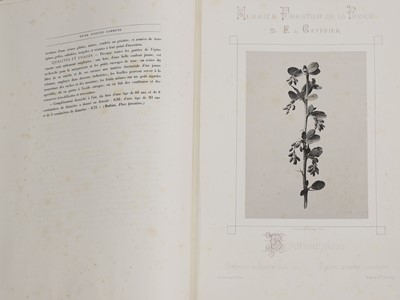 Lot 2 - Eugène de Gayffier