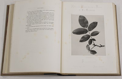 Lot 2 - Eugène de Gayffier