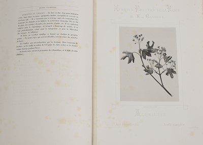 Lot 2 - Eugène de Gayffier