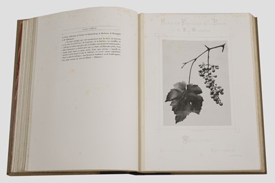 Lot 2 - Eugène de Gayffier