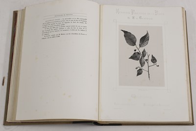 Lot 2 - Eugène de Gayffier