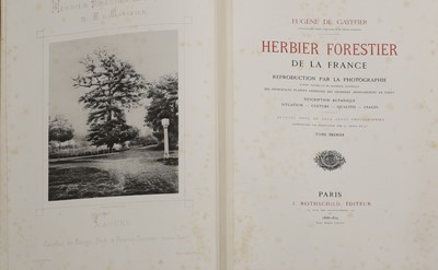 Lot 2 - Eugène de Gayffier