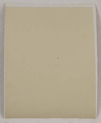 Lot 38 - A collection of flower and plant studies