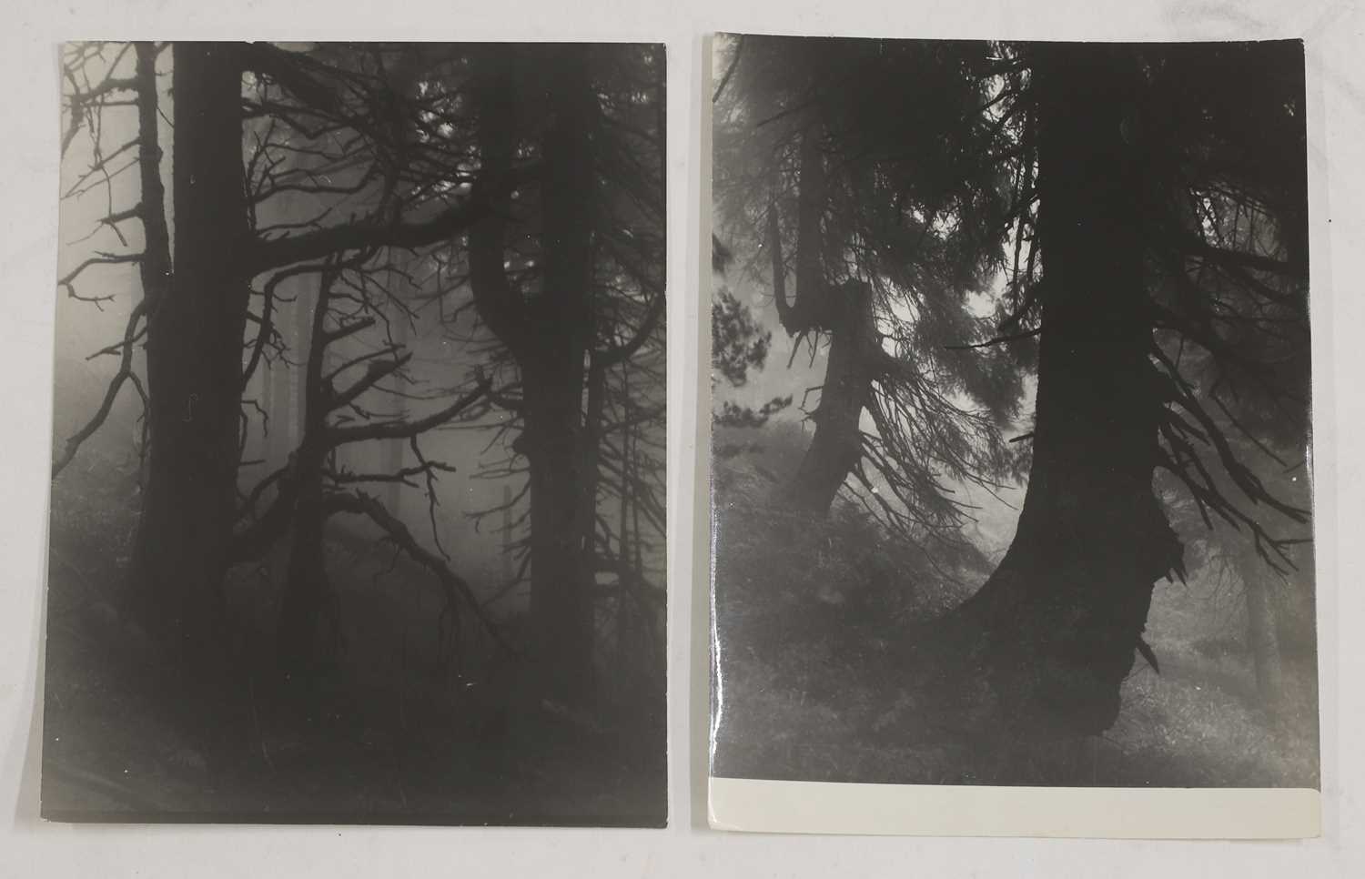 Lot 90 - Josef Sudek (Czech, 1896-1976)