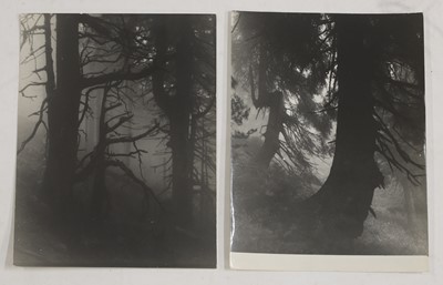 Lot 90 - Josef Sudek (Czech, 1896-1976)